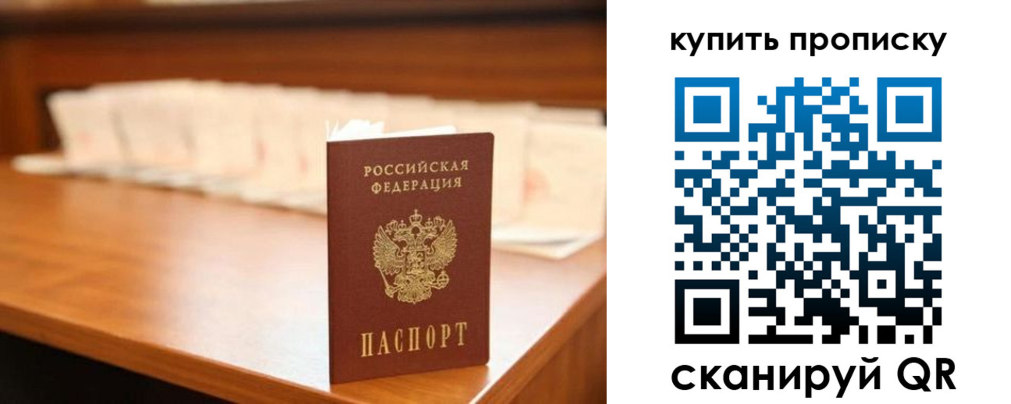 прописка 2025 в Александровске-Сахалинском